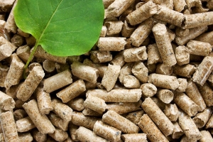 Waste and Biomass Valorization Market: Driving Circular Economy through Biomass Valorization