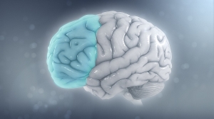 How ADHD Affects Academic Performance and College Admissions