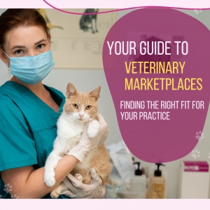 Your Guide to Veterinary Marketplaces: Finding the Right Fit for Your Practice