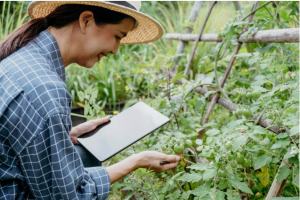 Remote Monitoring: Enhancing Pest Management with Crop Planning Software