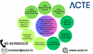 Beginner’s Guide: How to Start Ethical Hacking Without Programming Skills