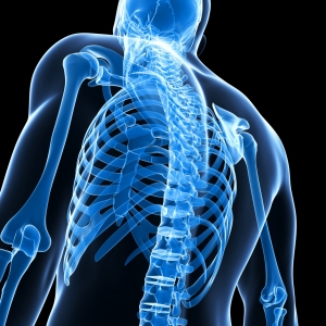 Enhance Your Well-being with Anatomy Chiropractor in San Diego