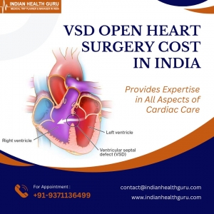 Decoding Affordability: Factors Affecting VSD Open Heart Surgery Cost in India