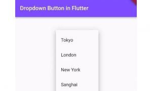 How to Fix Dropdown Button Not Switching Selected Item inFlutter