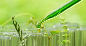 Renewable Chemicals Market Size and Growth Prospects: A Deep Dive Analysis