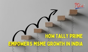 Powering Up Your MSME: How Tally Software Can Fuel Business Growth