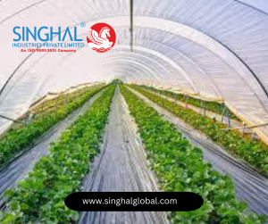 Greenhouse Plastic Film Manufacturers in Gujarat | Singhal Industries