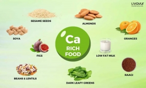 Top 10 Calcium-Rich Foods to Strengthen Your Bones