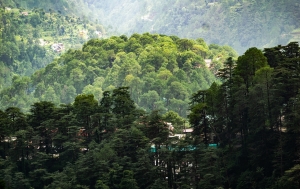 Homestay Hustle & Heart: Balancing Cultural Exchange with Responsible Tourism
