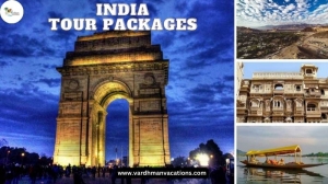Top Unforgettable India Tour Packages to Explore in 2024