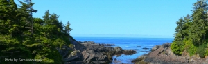 Snapshots of Paradise: Stay in a Vacation Rental Amidst Ucluelet & Tofino's Beauty!