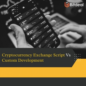 Cryptocurrency Exchange Script vs. Custom Development: Which is Right for You?