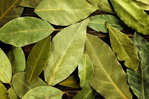 Understanding Consumer Preferences and Culinary Trends in the Bay Leaf Market