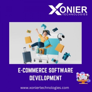 Unleashing the Power of E-commerce Software Development Solutions