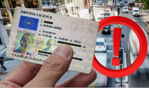 The Risks and Consequences of Using Fake Driver's Licenses