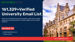Elevating Your Strategy: Strategies for Effective B2B Email Marketing with University Email List 