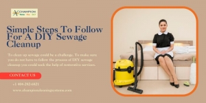 Simple Steps To Follow For A DIY Sewage Cleanup