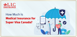 How Much Is Medical Insurance for Super Visa Canada?