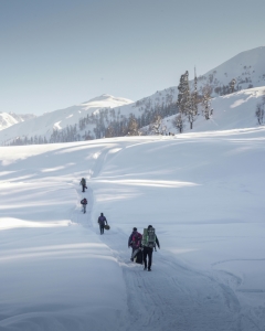 Kashmir Holiday Packages