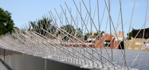 The Rise of Bird Spikes Dubai's Innovative Solution to Avian Infestation