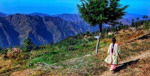 Homestays & Heritage Languages: Reviving Endangered Languages Through Conversation