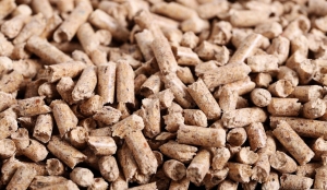 Global Animal Feed Components Market: Innovations Driving Sustainable Feed Solutions