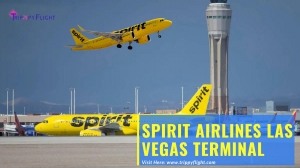 A First-Timer’s Experience at Spirit Airlines Las Vegas Terminal