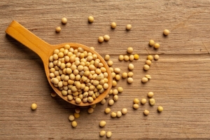 Global Soy Hydrolysate Market: Unveiling Growth Trajectories and Market Dynamics