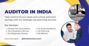 Unlocking the Potential: Becoming the Best Auditor in India
