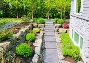 A Professional Guide to Landscaping Supplies and Planning