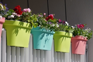 Global Nursery Planters and Pots Market Projected to Reach USD 1558.5 Mn by 2029 at a CAGR of 2.0%