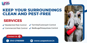 The Best Range of Professional Pest Control Services in Jaipur