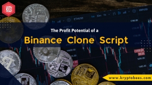 The Profit Potential of a Binance Clone Script Business