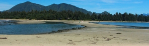 Nature's Nest: Discover Ucluelet & Tofino's Serene Cabin Retreats