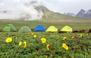 The Kashmir Great Lakes Trek- A thing of unmatched Beauty!