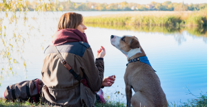 Your Tone Matters in Communication with Your Dog!