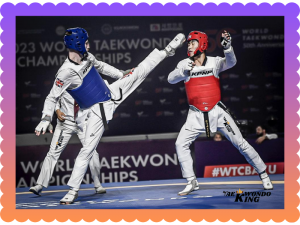 Why Flexibility is the Most Important Part of Taekwondo?