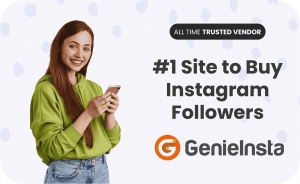 How to Increase Your Instagram Following with Genieinsta