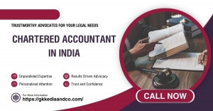 Unveiling the Excellence: Chartered Accountant in India