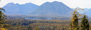 Ucluelet's Hidden Gems: How Staying in a Secluded Vacation Rental Will Change Your Perspective on Nature!