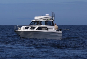 Which provides the bigger wow factor catch potential - inshore or offshore?