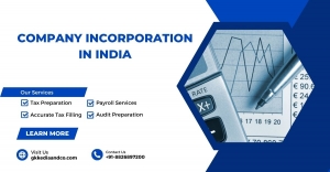 The Ultimate Guide to Company Formation in India