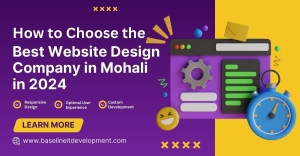 How to Choose the Best Website Design Company in Mohali in 2024