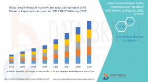 Small Molecule Active Pharmaceutical Ingredient (API) Market Regional Segmentation Analysis: Investment Opportunities and Market Overview
