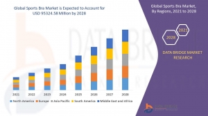 Sports Bra Market Competitive Landscape and Regional Analysis: Segmentation and Investment Opportunities