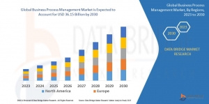 Business Process Management Market Data, Demand, Application, Price Trends, and Company Share
