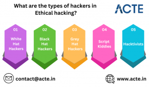 Exploring the Spectrum: Types of Hackers 