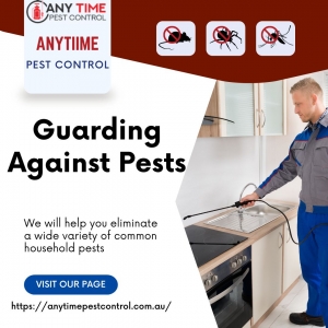 How to Safeguard Your Melbourne Home with Effective Pest Control