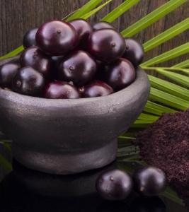 Acai Berry Materials: Delving into the Essence of Superfood Elixirs