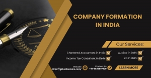 Comprehensive Guide to Company Formation in India